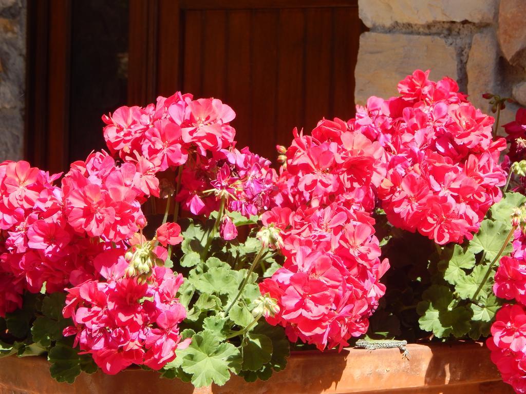 Bed and Breakfast I Lecci Леричі Екстер'єр фото